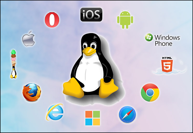 Tìm hiểu linux là phần mềm gì? Linux là phần mềm hay hệ điều hành?