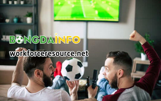 Bongdalu – Trung tâm cập nhật tỷ lệ kèo nhà cái và soi kèo hàng đầu dành cho dân chuyên