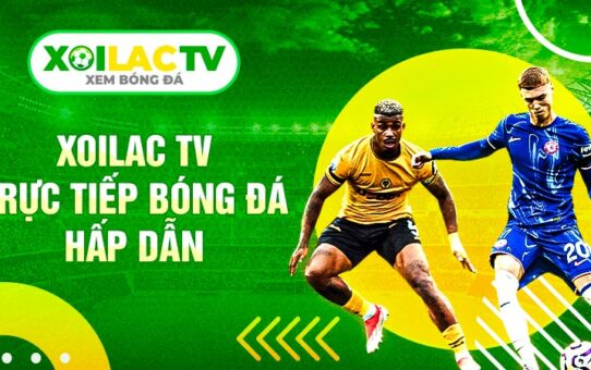Xoilac – Trải nghiệm xem bóng đá đỉnh cao dành cho fan cứng môn thể thao vua