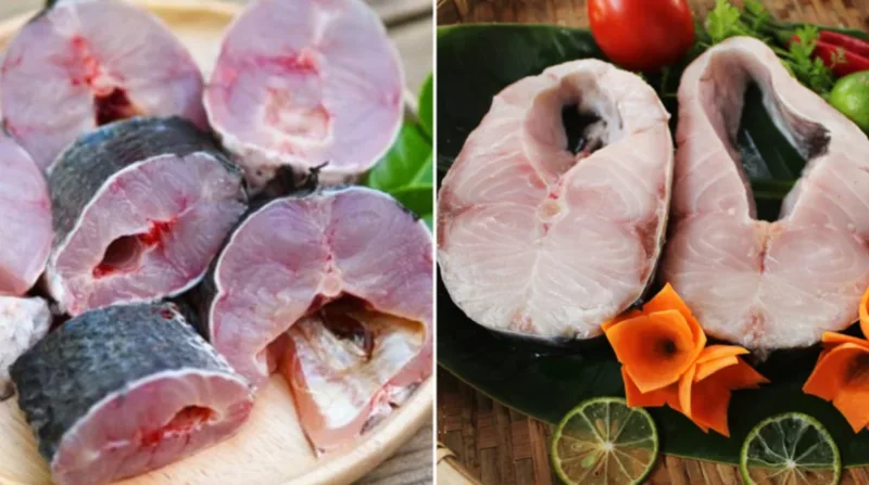 Mùi tanh của cá hình thành từ các hợp chất chứa nitơ, đồng thời tăng mạnh khi cá kém tươi hoặc bảo quản không đúng