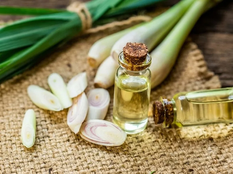 Sả, tinh dầu và một số nguyên liệu tạo mùi có thể hỗ trợ xua muỗi tự nhiên, nhưng nên sử dụng đúng cách và an toàn.