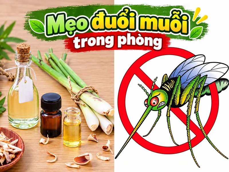 Áp dụng mẹo đuổi muỗi trong phòng đúng cách giúp hạn chế muỗi xâm nhập, giảm nguy cơ bị đốt và giữ không gian dễ chịu hơn.